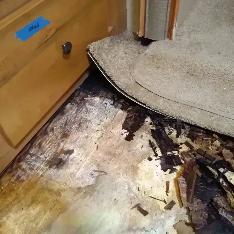 Wood Floor Water Damage in Lake Mary, FL